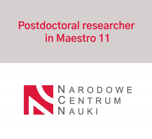 Recruitment - Postdoc in Maestro 11