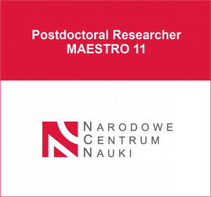 Postdoctoral Researcher
