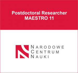 maestro11pdr