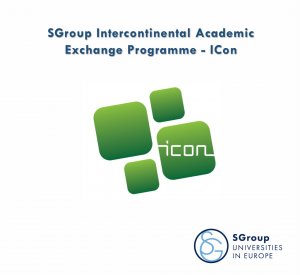 Stypendium w programie ICON SGroup