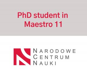 Recruitment -  PhD in Maestro 11