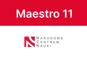 maestro11