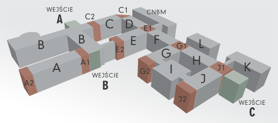 Collegium Physicum - plan budynku