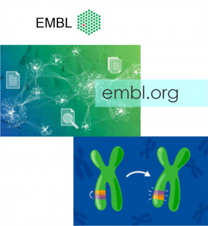  embl